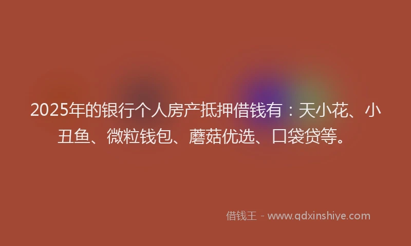 2025年的银行个人房产抵押借钱有：天小花、小丑鱼、微粒钱包、蘑菇优选、口袋贷等。