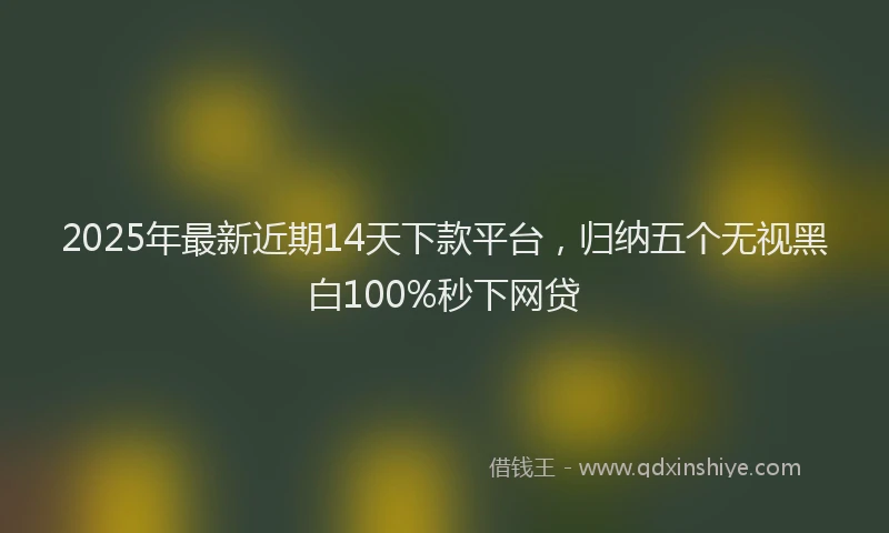2025年最新近期14天下款平台，归纳五个无视黑白100%秒下网贷