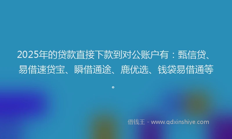 2025年的贷款直接下款到对公账户有：甄信贷、易借速贷宝、瞬借通途、鹿优选、钱袋易借通等。