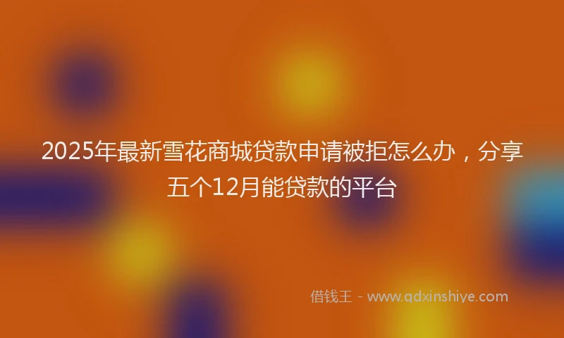 2025年最新雪花商城贷款申请被拒怎么办，分享五个12月能贷款的平台