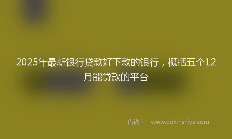 2025年最新银行贷款好下款的银行，概括五个12月能贷款的平台