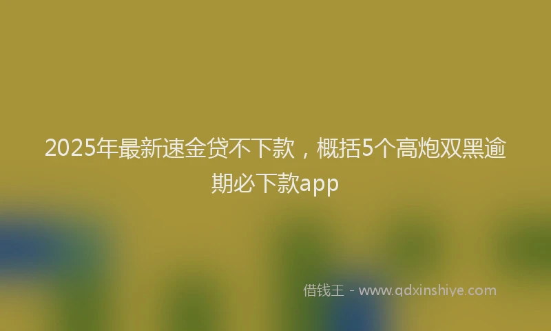 2025年最新速金贷不下款，概括5个高炮双黑逾期必下款app