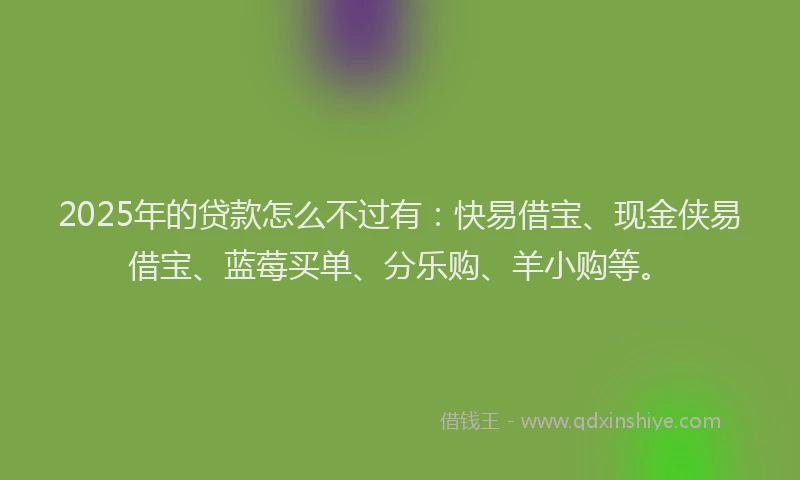 2025年的贷款怎么不过有：快易借宝、现金侠易借宝、蓝莓买单、分乐购、羊小购等。