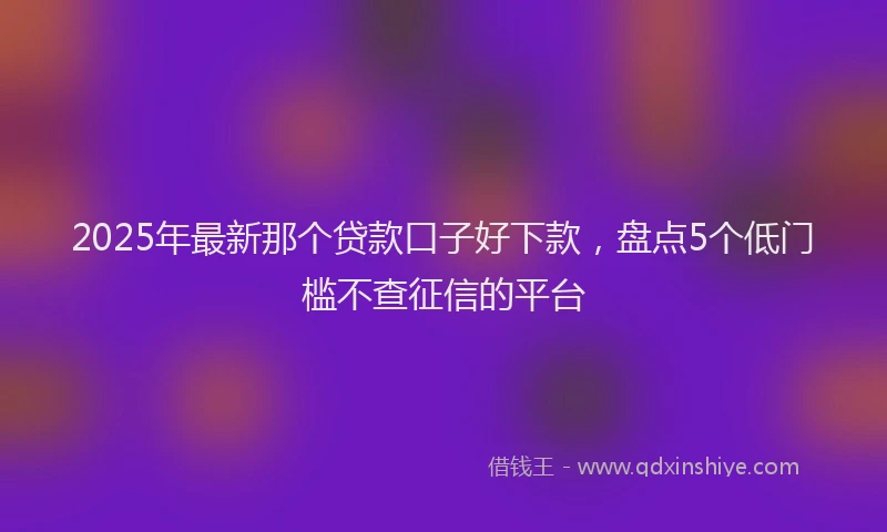 2025年最新那个贷款口子好下款，盘点5个低门槛不查征信的平台