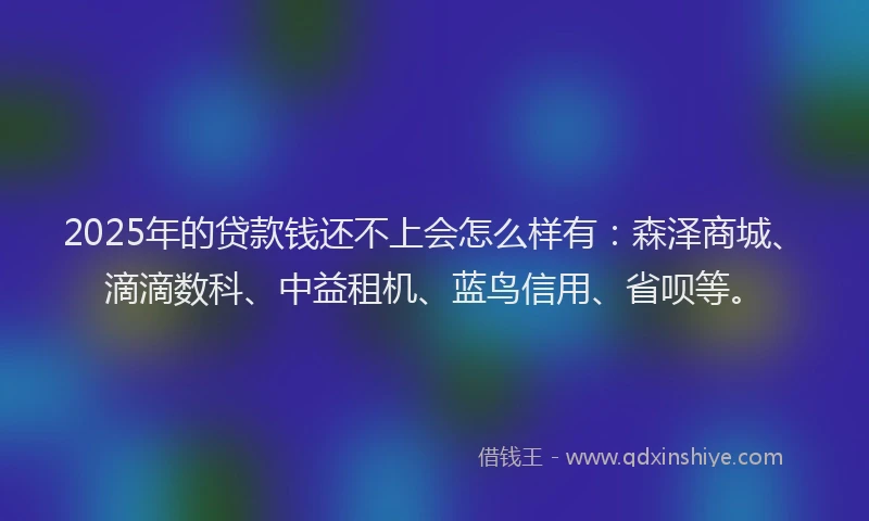 2025年的贷款钱还不上会怎么样有：森泽商城、滴滴数科、中益租机、蓝鸟信用、省呗等。