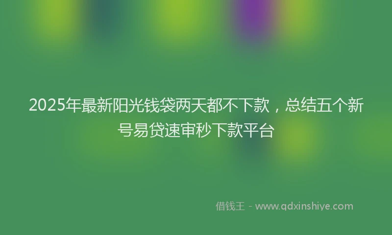 2025年最新阳光钱袋两天都不下款，总结五个新号易贷速审秒下款平台