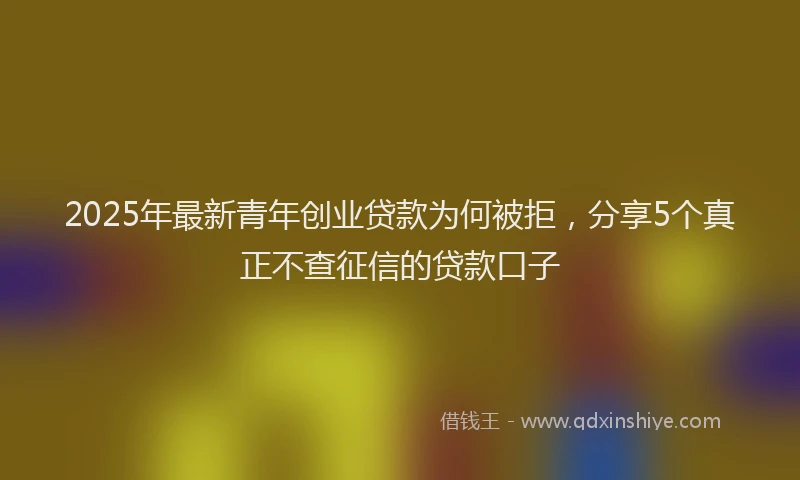 2025年最新青年创业贷款为何被拒，分享5个真正不查征信的贷款口子