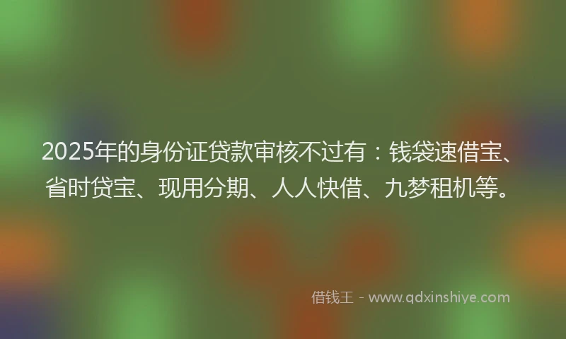 2025年的身份证贷款审核不过有：钱袋速借宝、省时贷宝、现用分期、人人快借、九梦租机等。