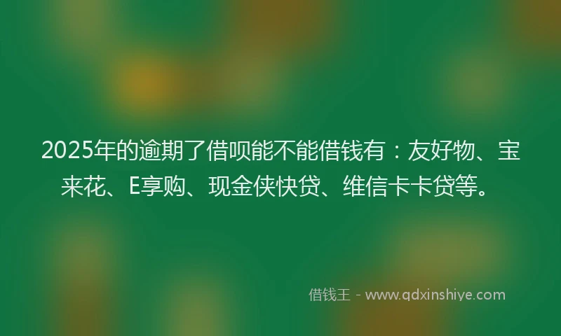 2025年的逾期了借呗能不能借钱有：友好物、宝来花、E享购、现金侠快贷、维信卡卡贷等。