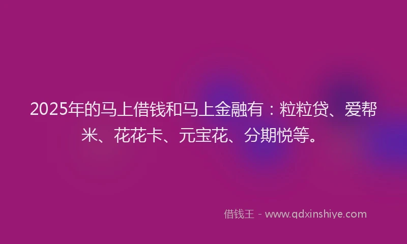 2025年的马上借钱和马上金融有：粒粒贷、爱帮米、花花卡、元宝花、分期悦等。