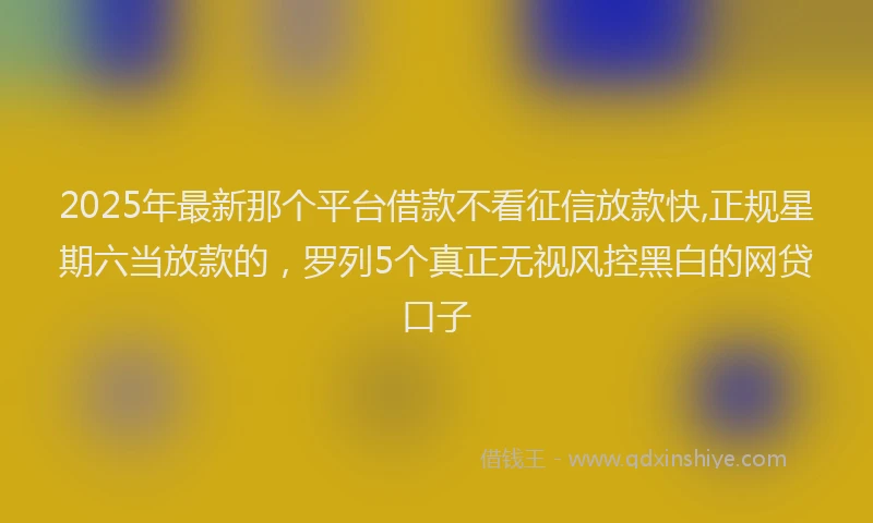 2025年最新那个平台借款不看征信放款快,正规星期六当放款的，罗列5个真正无视风控黑白的网贷口子