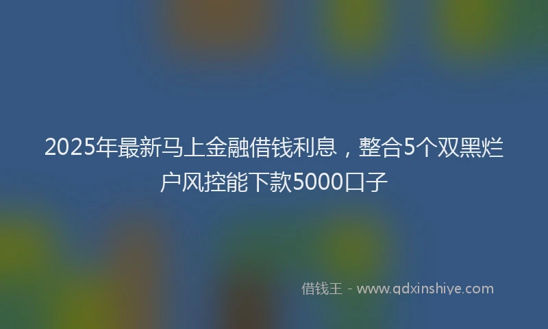 2025年最新马上金融借钱利息，整合5个双黑烂户风控能下款5000口子
