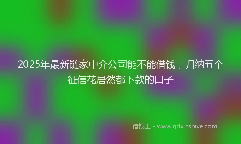 2025年最新链家中介公司能不能借钱，归纳五个征信花居然都下款的口子