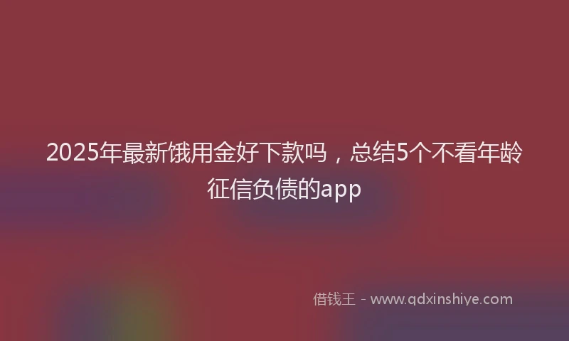 2025年最新饿用金好下款吗，总结5个不看年龄征信负债的app