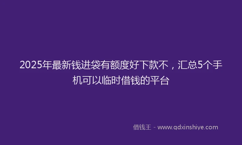 2025年最新钱进袋有额度好下款不，汇总5个手机可以临时借钱的平台
