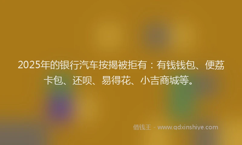 2025年的银行汽车按揭被拒有：有钱钱包、便荔卡包、还呗、易得花、小吉商城等。