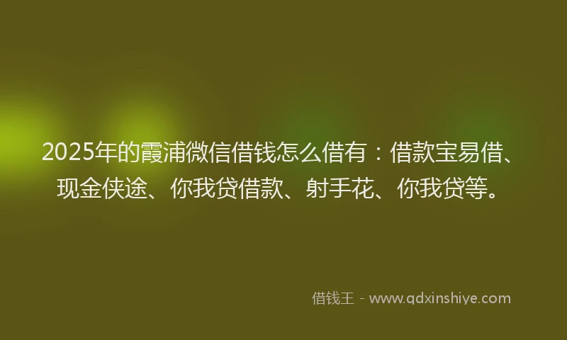 2025年的霞浦微信借钱怎么借有：借款宝易借、现金侠途、你我贷借款、射手花、你我贷等。