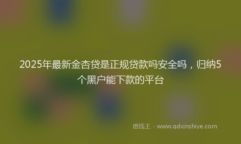 2025年最新金杏贷是正规贷款吗安全吗，归纳5个黑户能下款的平台