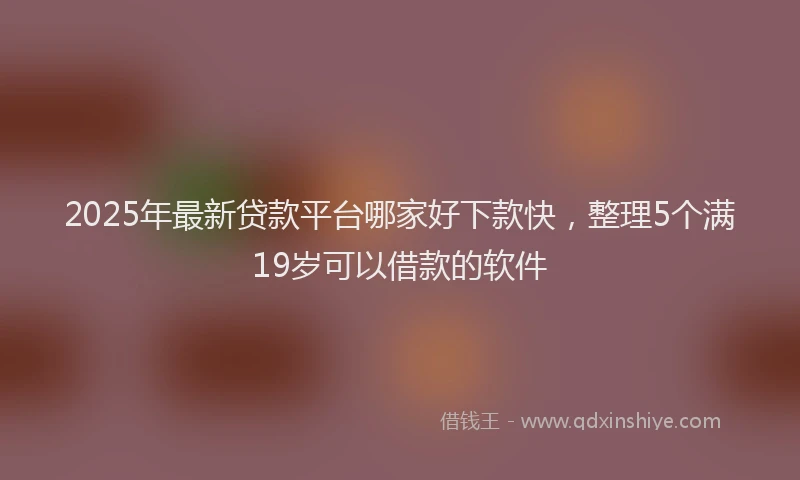 2025年最新贷款平台哪家好下款快，整理5个满19岁可以借款的软件