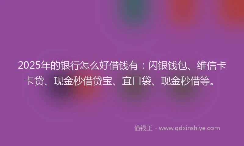 2025年的银行怎么好借钱有：闪银钱包、维信卡卡贷、现金秒借贷宝、宜口袋、现金秒借等。