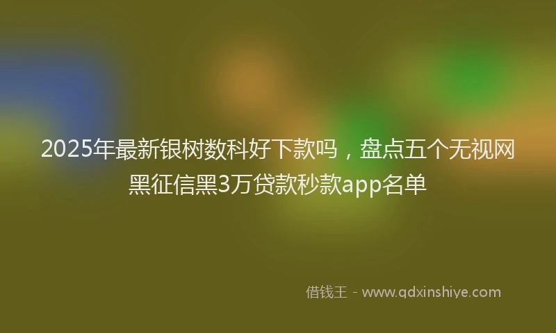 2025年最新银树数科好下款吗，盘点五个无视网黑征信黑3万贷款秒款app名单