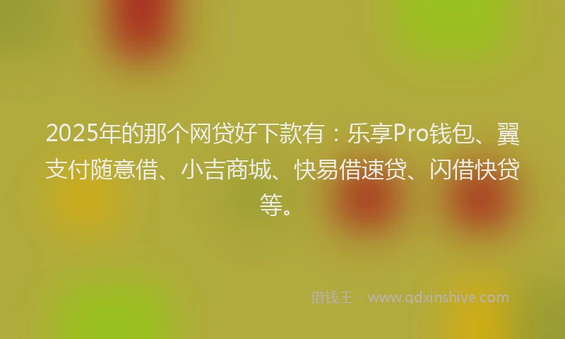2025年的那个网贷好下款有：乐享Pro钱包、翼支付随意借、小吉商城、快易借速贷、闪借快贷等。