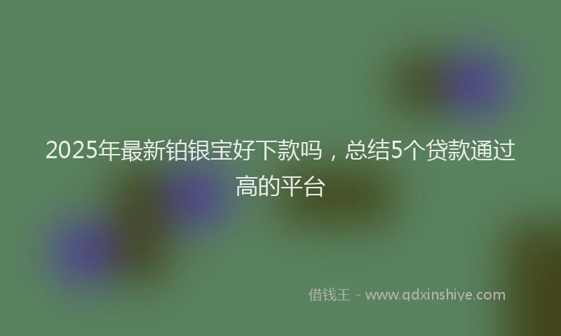 2025年最新铂银宝好下款吗，总结5个贷款通过高的平台