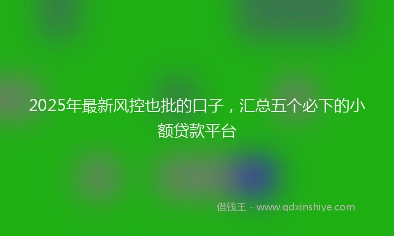 2025年最新风控也批的口子，汇总五个必下的小额贷款平台
