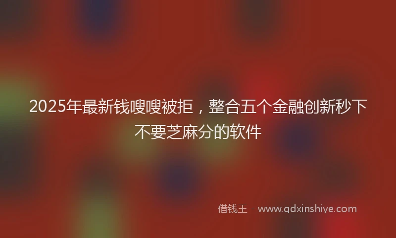 2025年最新钱嗖嗖被拒，整合五个金融创新秒下不要芝麻分的软件