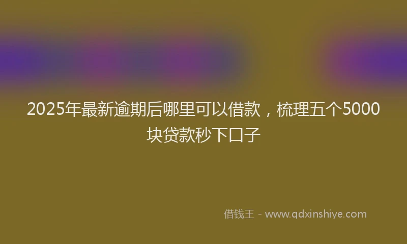 2025年最新逾期后哪里可以借款，梳理五个5000块贷款秒下口子