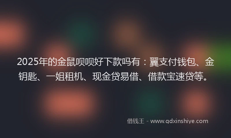 2025年的金鼠呗呗好下款吗有：翼支付钱包、金钥匙、一姐租机、现金贷易借、借款宝速贷等。