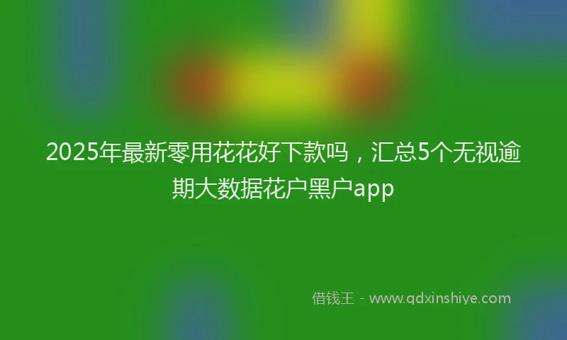 2025年最新零用花花好下款吗，汇总5个无视逾期大数据花户黑户app