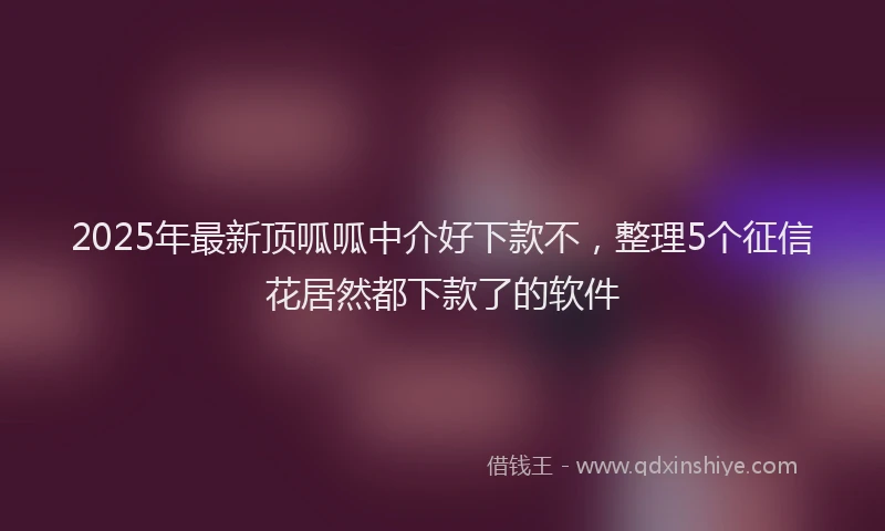 2025年最新顶呱呱中介好下款不，整理5个征信花居然都下款了的软件