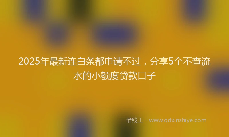 2025年最新连白条都申请不过，分享5个不查流水的小额度贷款口子