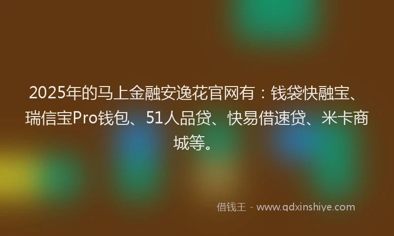 2025年的马上金融安逸花官网有：钱袋快融宝、瑞信宝Pro钱包、51人品贷、快易借速贷、米卡商城等。