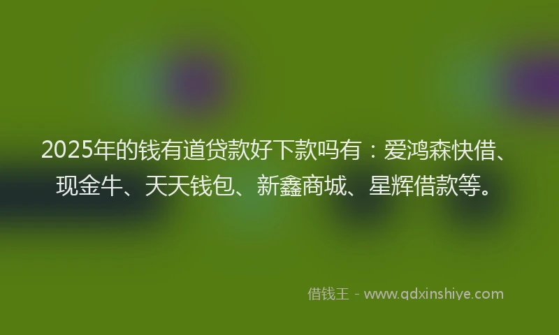 2025年的钱有道贷款好下款吗有：爱鸿森快借、现金牛、天天钱包、新鑫商城、星辉借款等。