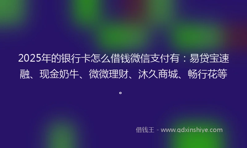 2025年的银行卡怎么借钱微信支付有：易贷宝速融、现金奶牛、微微理财、沐久商城、畅行花等。