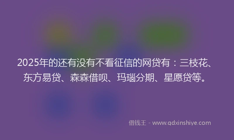 2025年的还有没有不看征信的网贷有：三枝花、东方易贷、森森借呗、玛瑙分期、星愿贷等。