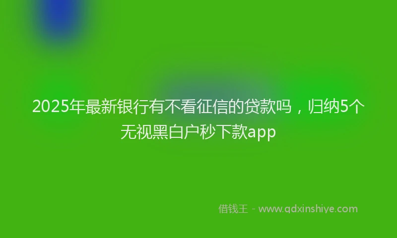 2025年最新银行有不看征信的贷款吗，归纳5个无视黑白户秒下款app
