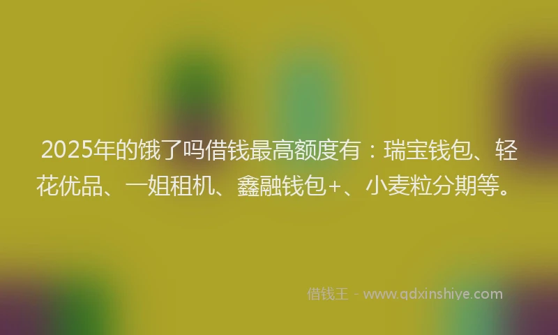 2025年的饿了吗借钱最高额度有：瑞宝钱包、轻花优品、一姐租机、鑫融钱包+、小麦粒分期等。