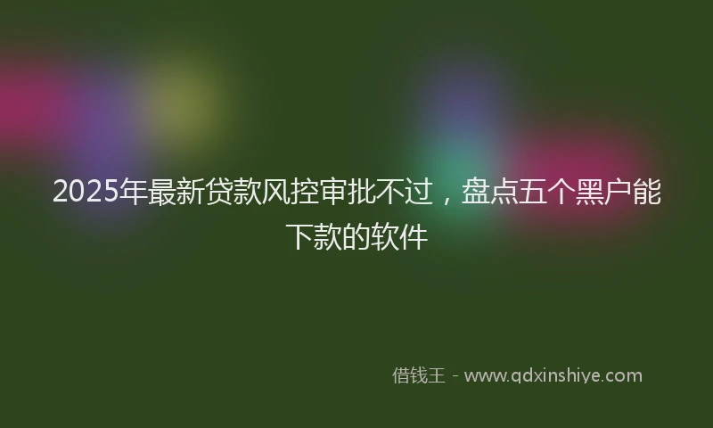 2025年最新贷款风控审批不过，盘点五个黑户能下款的软件