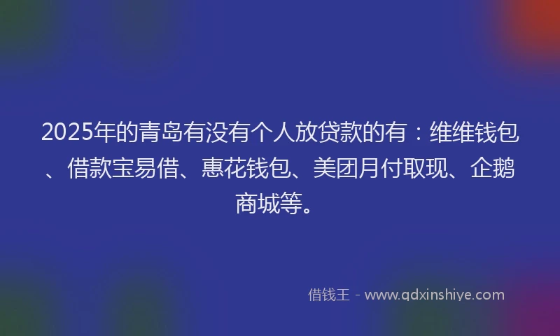 2025年的青岛有没有个人放贷款的有：维维钱包、借款宝易借、惠花钱包、美团月付取现、企鹅商城等。