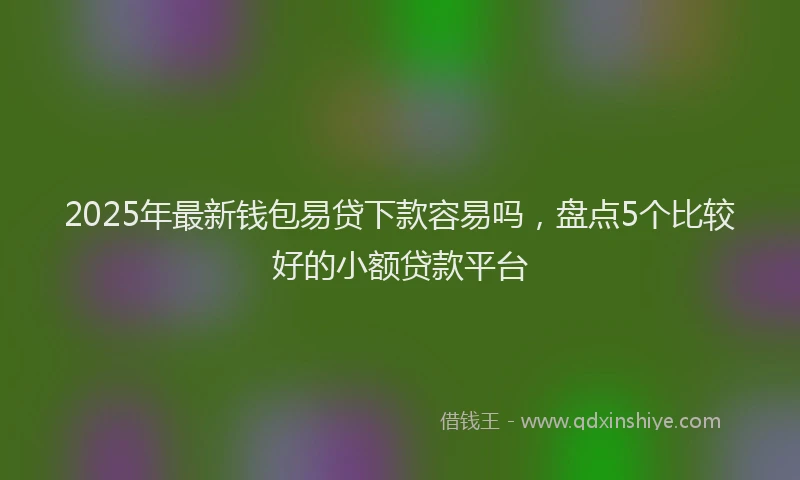2025年最新钱包易贷下款容易吗，盘点5个比较好的小额贷款平台