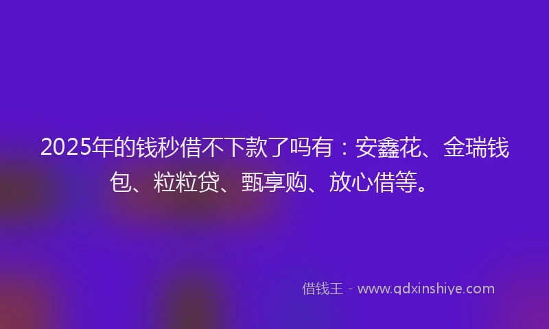 2025年的钱秒借不下款了吗有：安鑫花、金瑞钱包、粒粒贷、甄享购、放心借等。