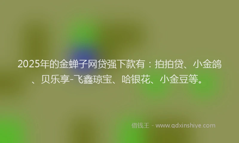 2025年的金蝉子网贷强下款有：拍拍贷、小金鸽、贝乐享-飞鑫琼宝、哈银花、小金豆等。