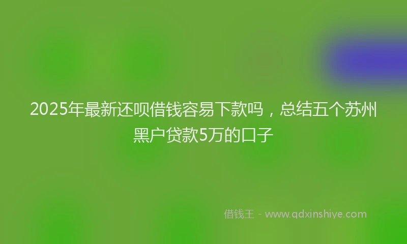 2025年最新还呗借钱容易下款吗，总结五个苏州黑户贷款5万的口子