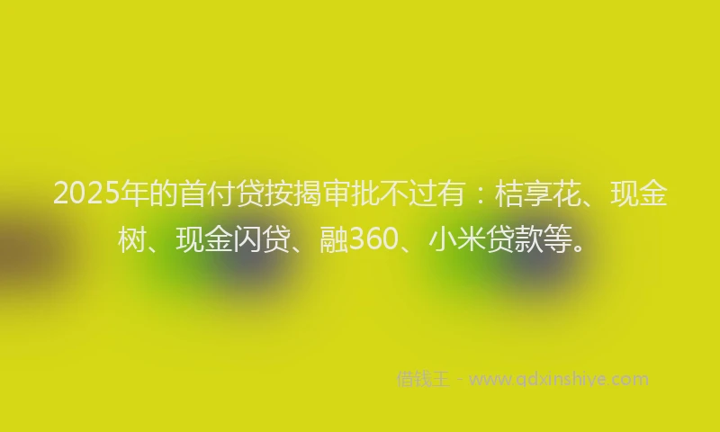 2025年的首付贷按揭审批不过有：桔享花、现金树、现金闪贷、融360、小米贷款等。