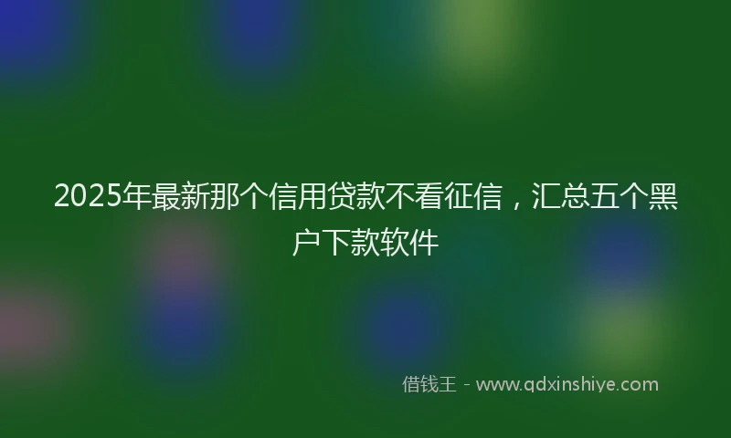 2025年最新那个信用贷款不看征信，汇总五个黑户下款软件