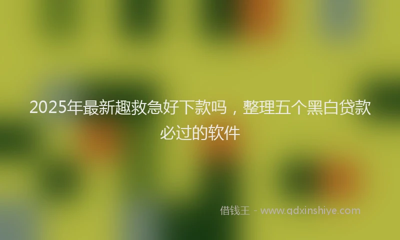 2025年最新趣救急好下款吗，整理五个黑白贷款必过的软件