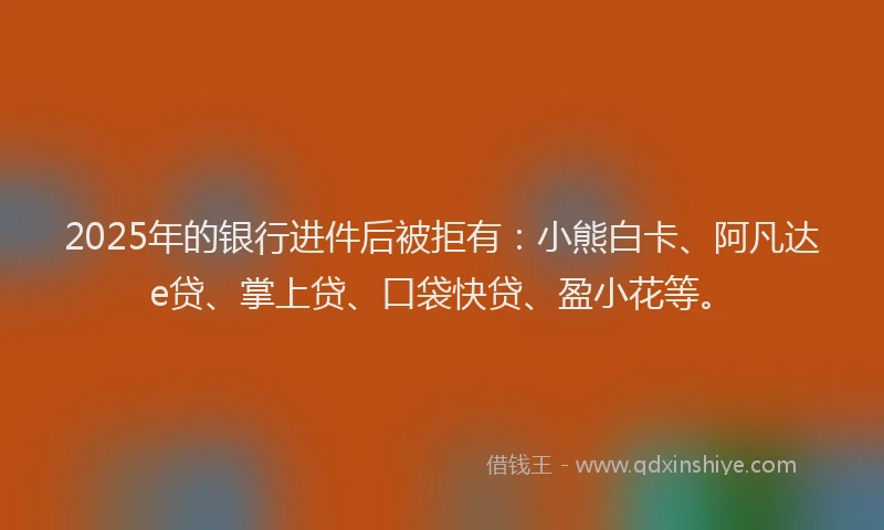 2025年的银行进件后被拒有：小熊白卡、阿凡达e贷、掌上贷、口袋快贷、盈小花等。